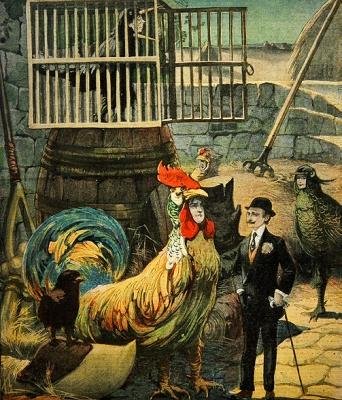 Chantecler, Verse Play by Edmond Rostand, Cover of Le Petit Journal, 30 January, 1910 by French School